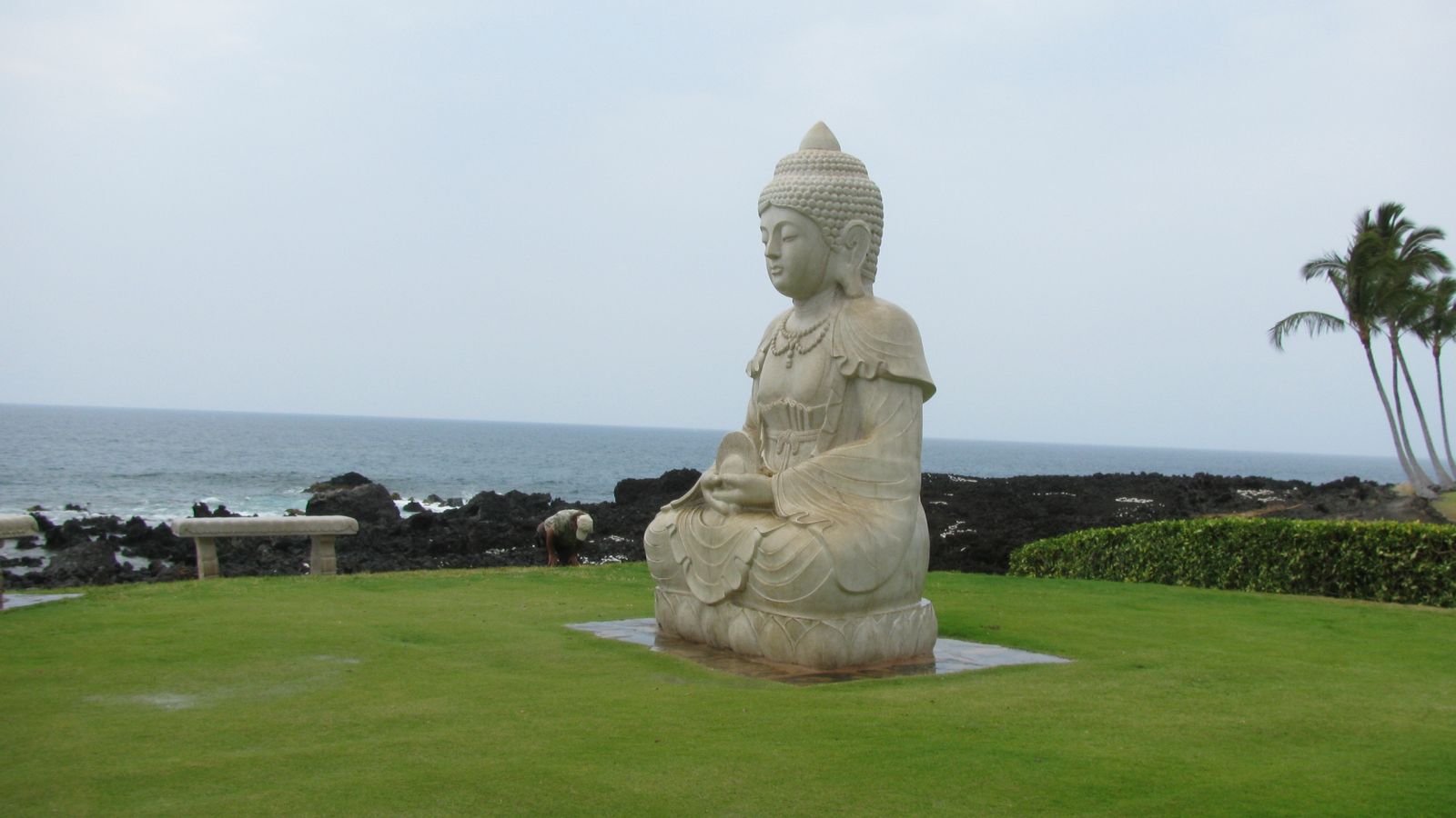 Statue at Waikoloa Village, Hawaii